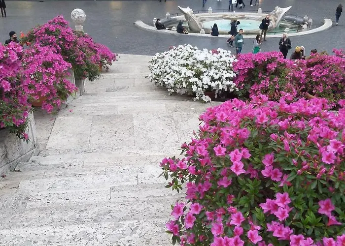Oda ve Kahvaltı A In